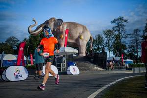 BIB: 
                            <button type="button" onclick="openModal(26541875)" class="btn btn-primary btn-sm float-right btn-popup" data-toggle="modal" data-target=".modal-high-quality">
                        <i class="fas fa-shopping-cart"></i> Add to Cart
                    </button>
                                            <button type="button" onclick="isThisMe(26541875, true)" class="btn btn-success btn-sm float-right btn-popup btn-isme hidden" data-toggle="tooltip" data-placement="bottom" title="นี่คือรูปของคุณใช่ไหม คลิกที่นี่เพื่อเอาเข้าอัลบั้ม">
                        <i class="fas fa-plus"></i> Add to album
                    </button>
                    <button type="button" onclick="isThisMe(26541875, false)" class="btn btn-warning btn-sm float-right btn-popup btn-isnotme hidden">
                        <i class="fas fa-ban"></i> Remove from album
                    </button>